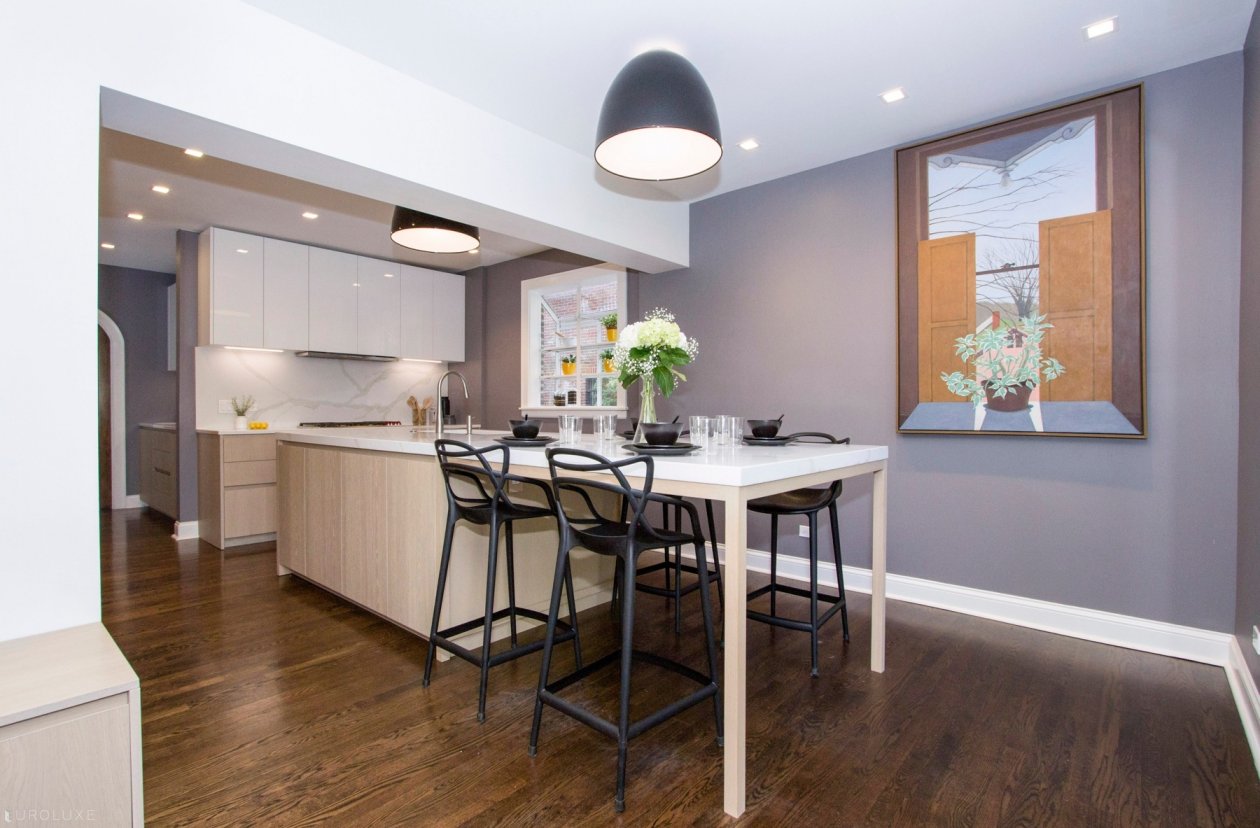 Evanston | Lake Street Single Family Home - Vintage home modern kitchen, contemporary kitchen in vintage house