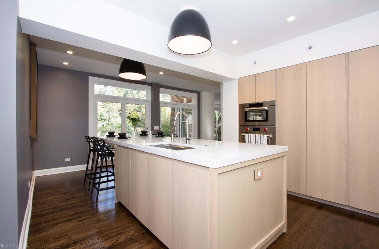 Evanston | Lake Street Single Family Home - contemporary kitchen in vintage house, Vintage home modern kitchen